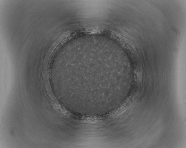 X0000111441393200908031343