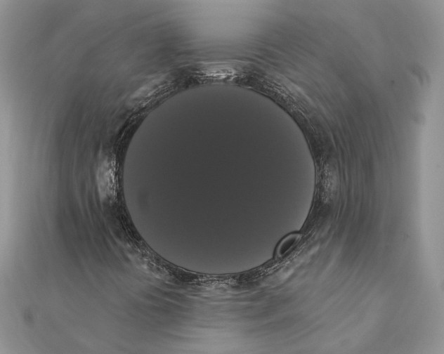 X0000111441394200908031343