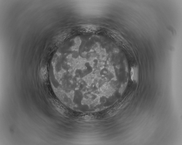 X0000111441395200908031343