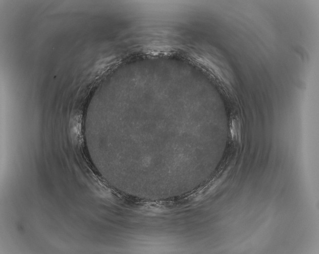 X0000111441396200908031343