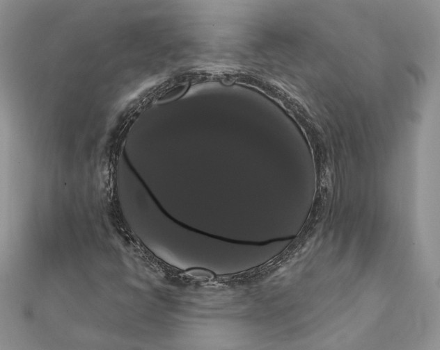 X0000111441398200908031343