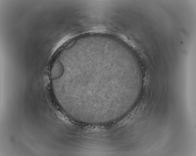 X0000111441400200908031343