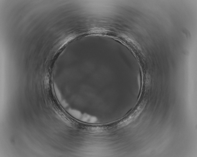 X0000111441401200908031343