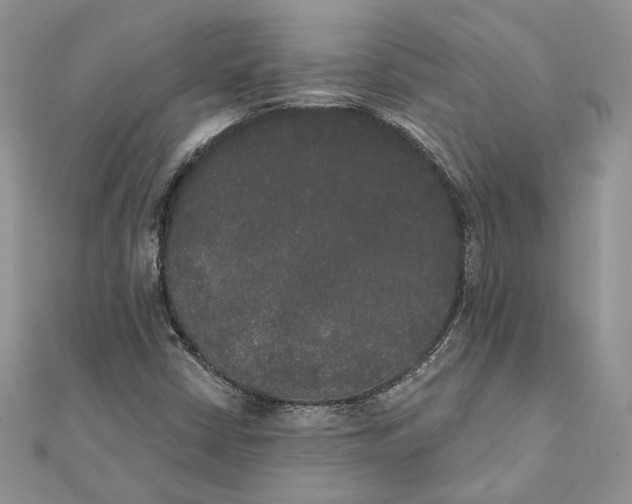 X0000111441402200908031343