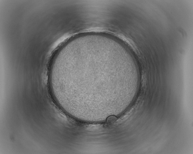 X0000111441406200908031343