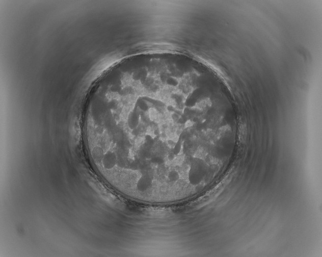 X0000111441407200908031343