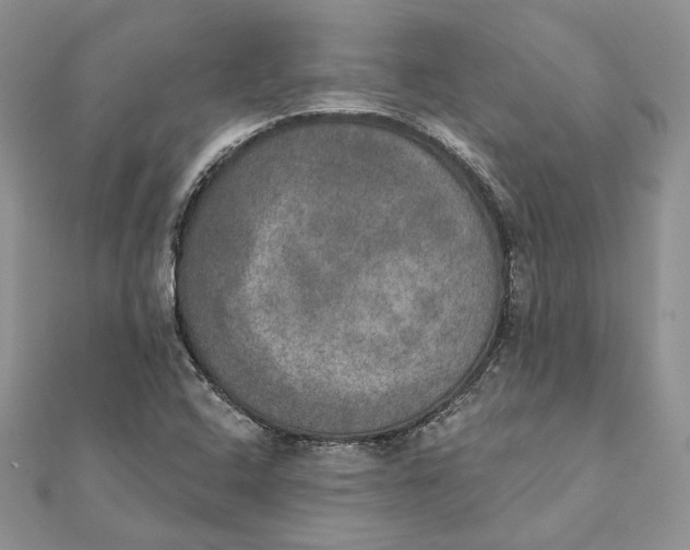 X0000111441408200908031343