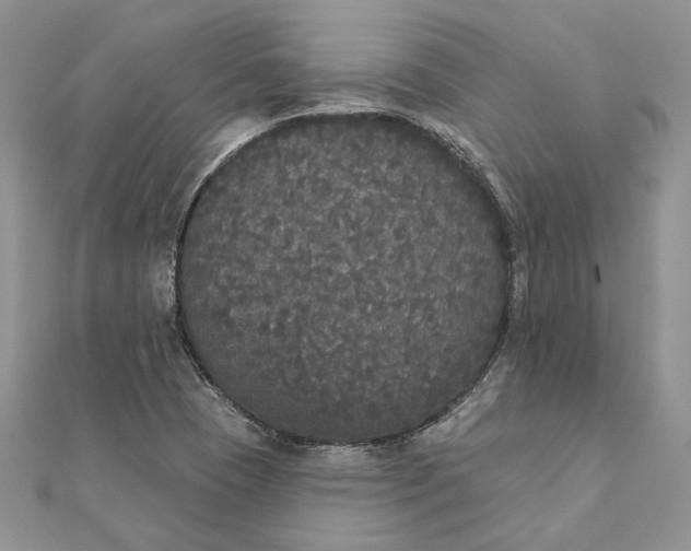 X0000111441409200908031343