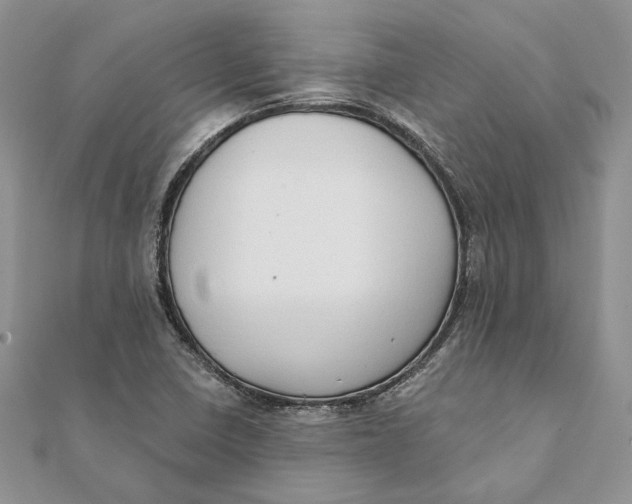 X0000111441410200908031343