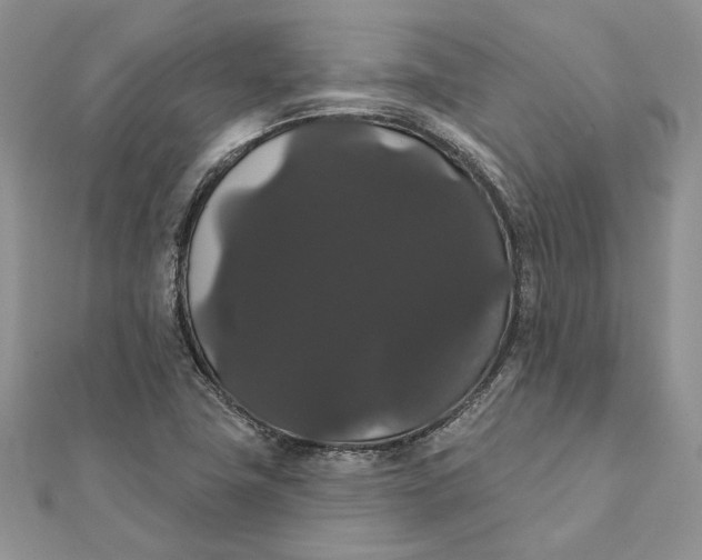 X0000111441411200908031343