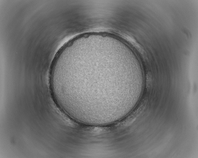 X0000111441412200908031343