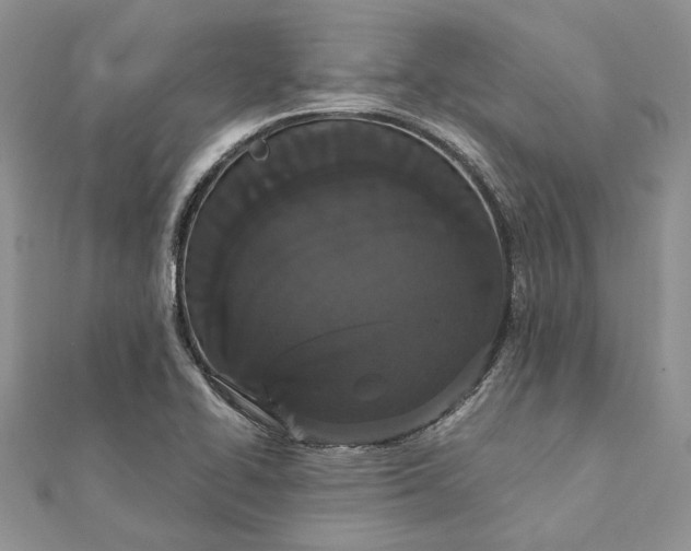 X0000111441414200908031343