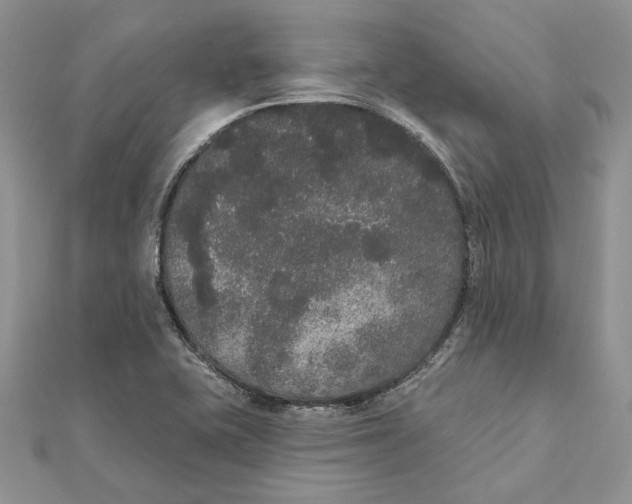 X0000111441415200908031343