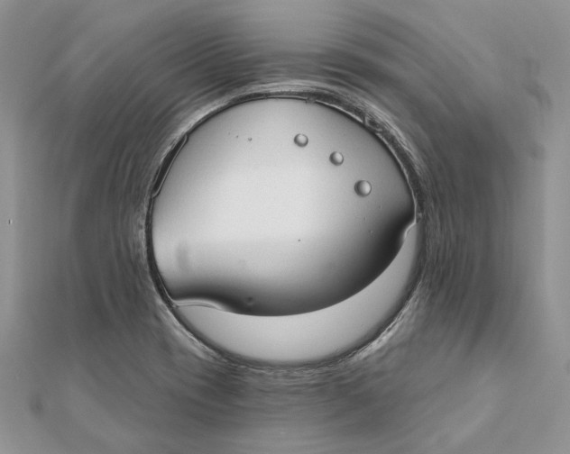 X0000111441417200908031343