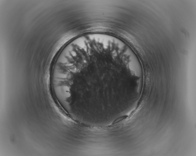 X0000111441418200908031343