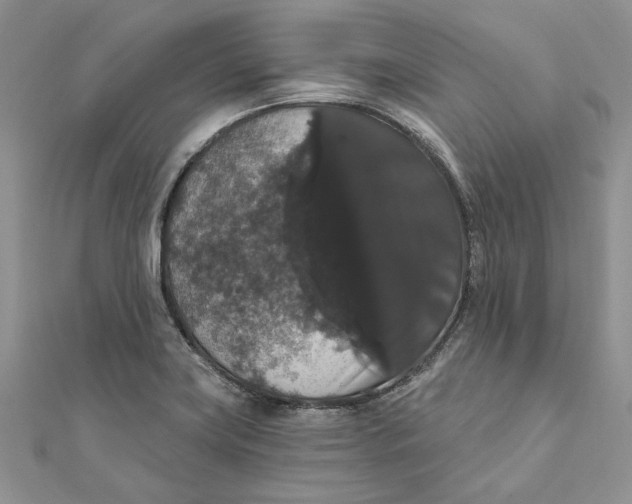 X0000111441419200908031343