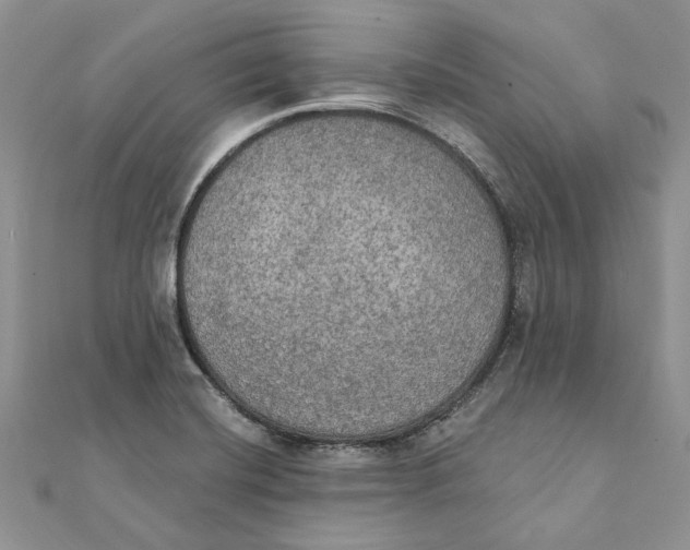 X0000111441420200908031343