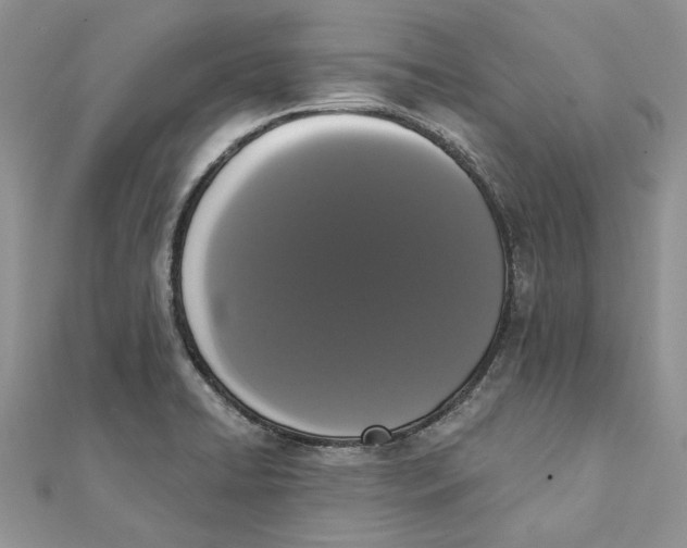 X0000111441422200908031343