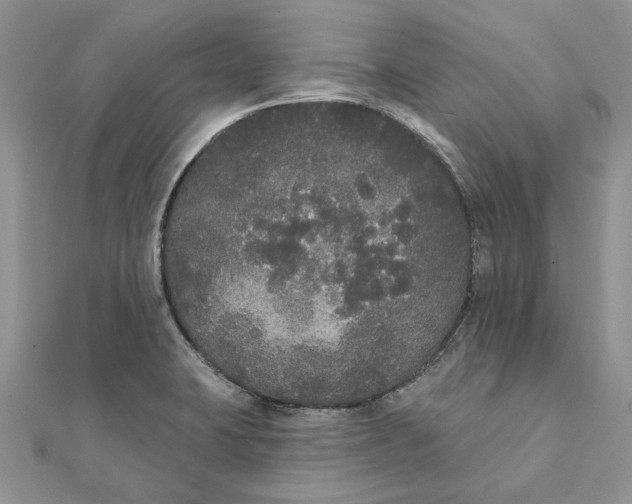 X0000111441423200908031343