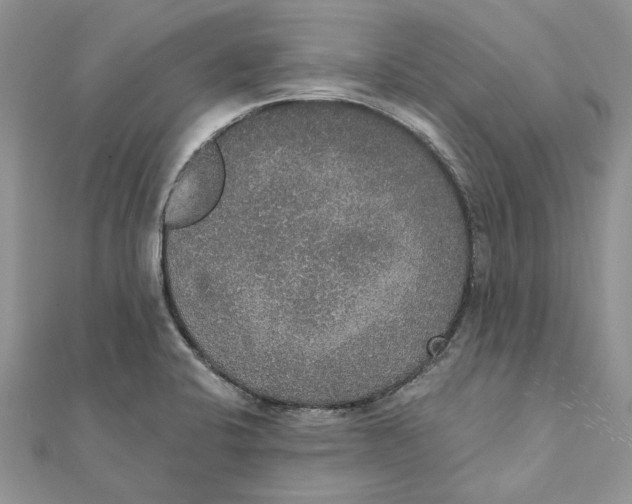 X0000111441424200908031343