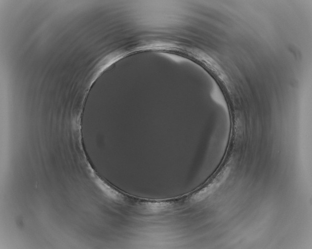 X0000111441425200908031343