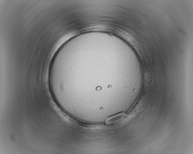 X0000111441426200908031343