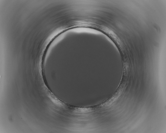 X0000111441427200908031343