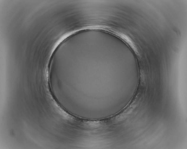 X0000111441428200908031343