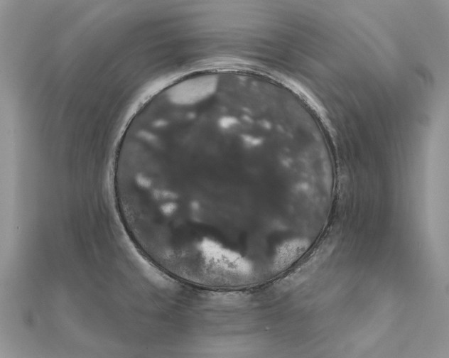 X0000111441429200908031343