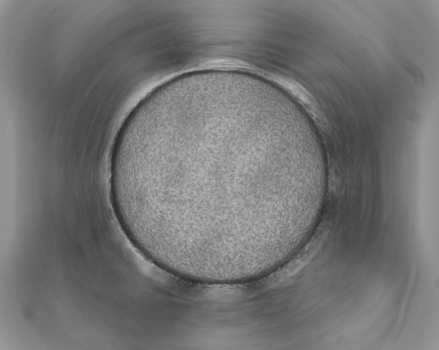 X0000111441430200908031343