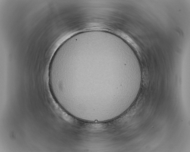 X0000111441431200908031343