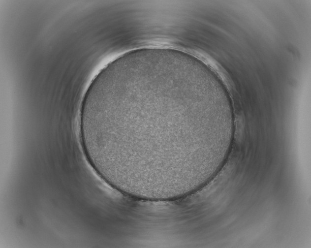 X0000111441432200908031343