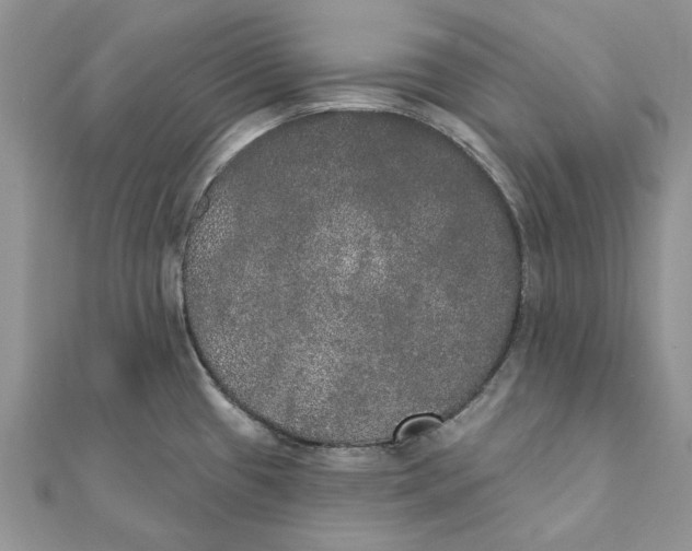 X0000111441433200908031343