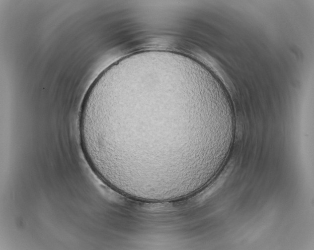 X0000111441434200908031343