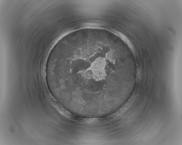 X0000111441435200908031343