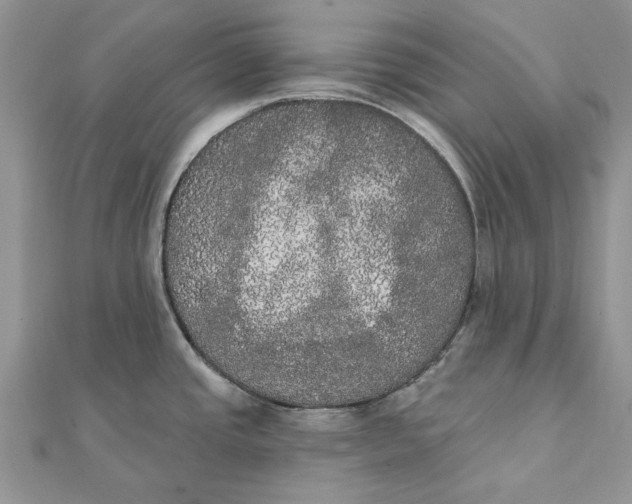 X0000111441437200908031343