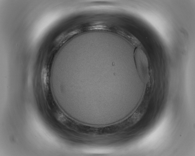 X0000111441438200908031343