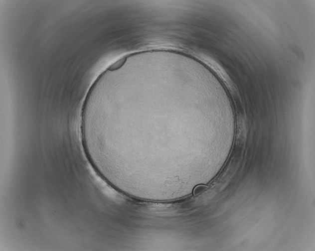 X0000111441439200908031344