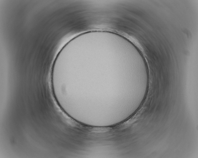 X0000111441440200908031344