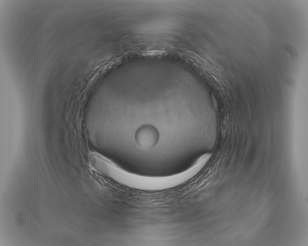 X0000111441441200908031343