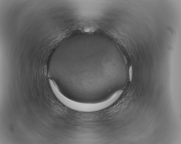 X0000111441443200908031343