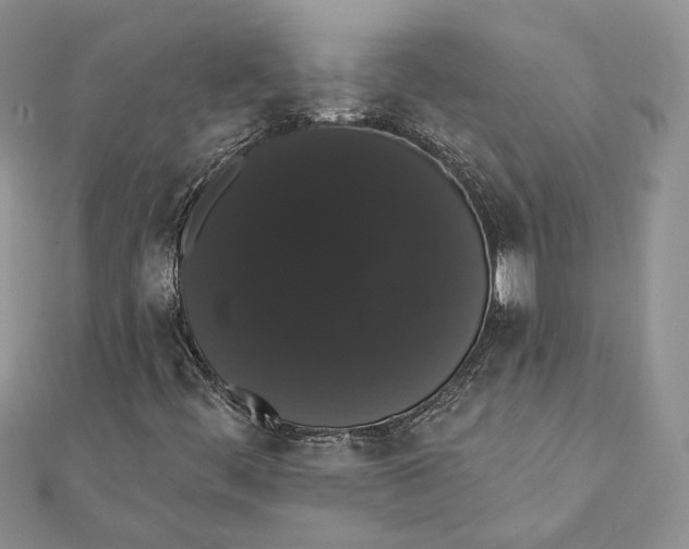 X0000111441444200908031343