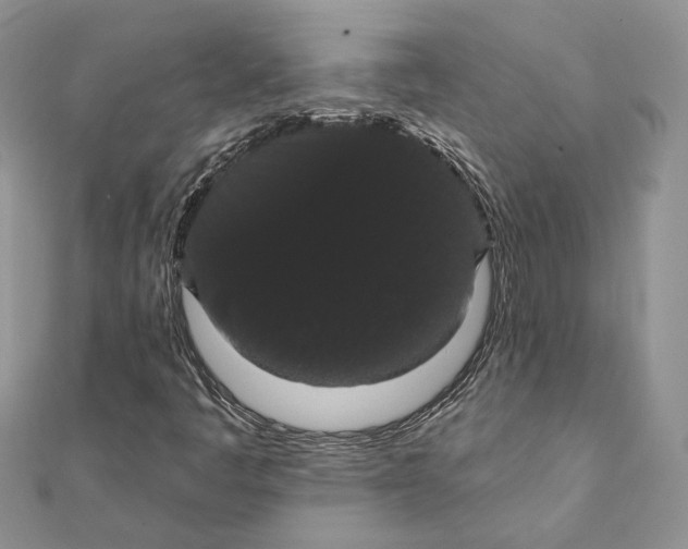 X0000111441445200908031343