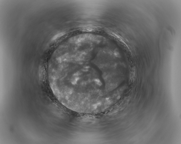 X0000111441446200908031343