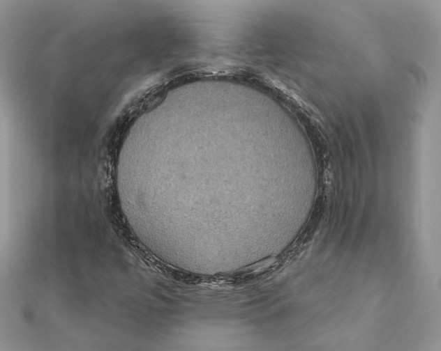 X0000111441447200908031343