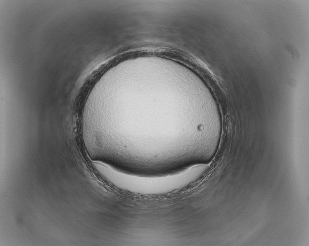 X0000111441448200908031343