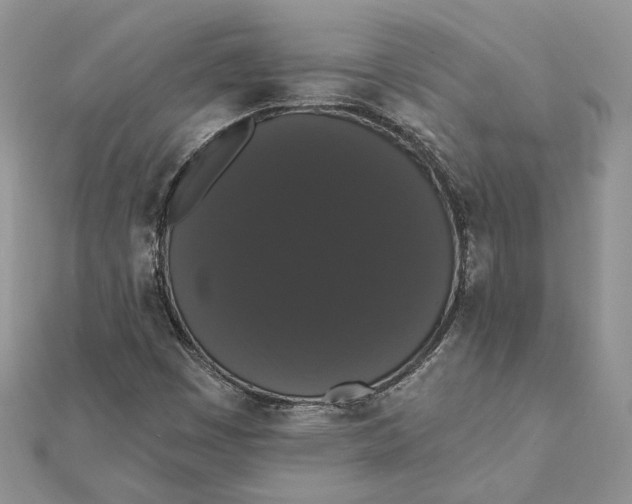 X0000111441449200908031343