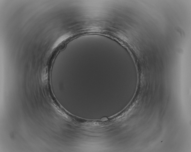 X0000111441450200908031343