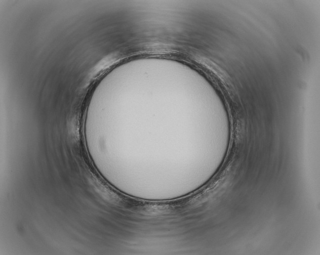 X0000111441451200908031343