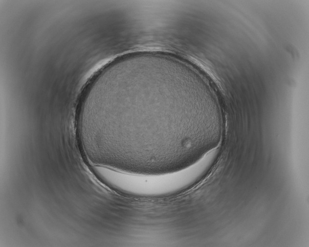 X0000111441452200908031343